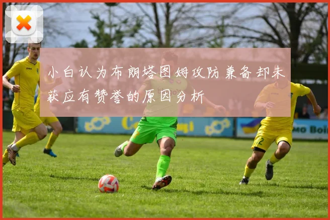 小白认为布朗塔图姆攻防兼备却未获应有赞誉的原因分析