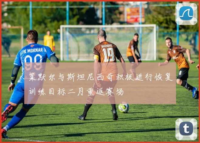 莱默尔与斯坦尼西奇积极进行恢复训练目标二月重返赛场
